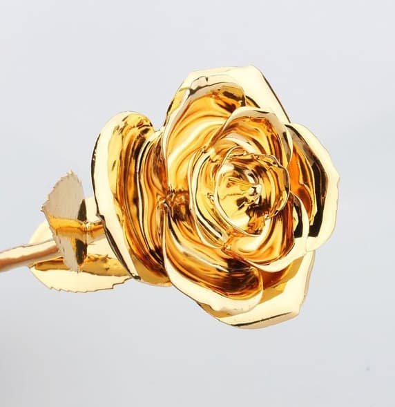 Gold metallic rose with a stem on a plain background