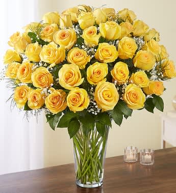 Yellow roses arranged in a clear glass vase