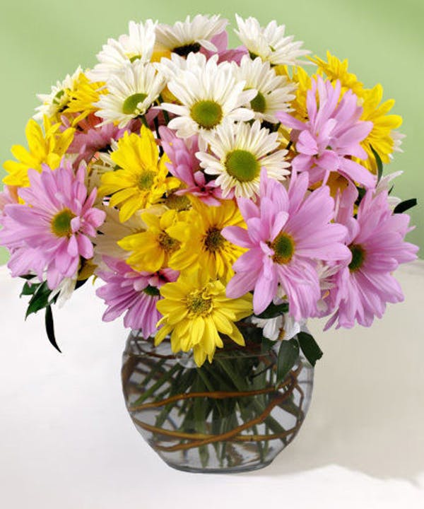 Bouquet of pink, yellow, and white daisies in a glass vase