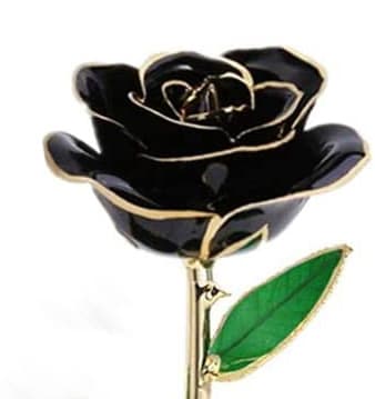 Black rose-shaped pin with a green leaf