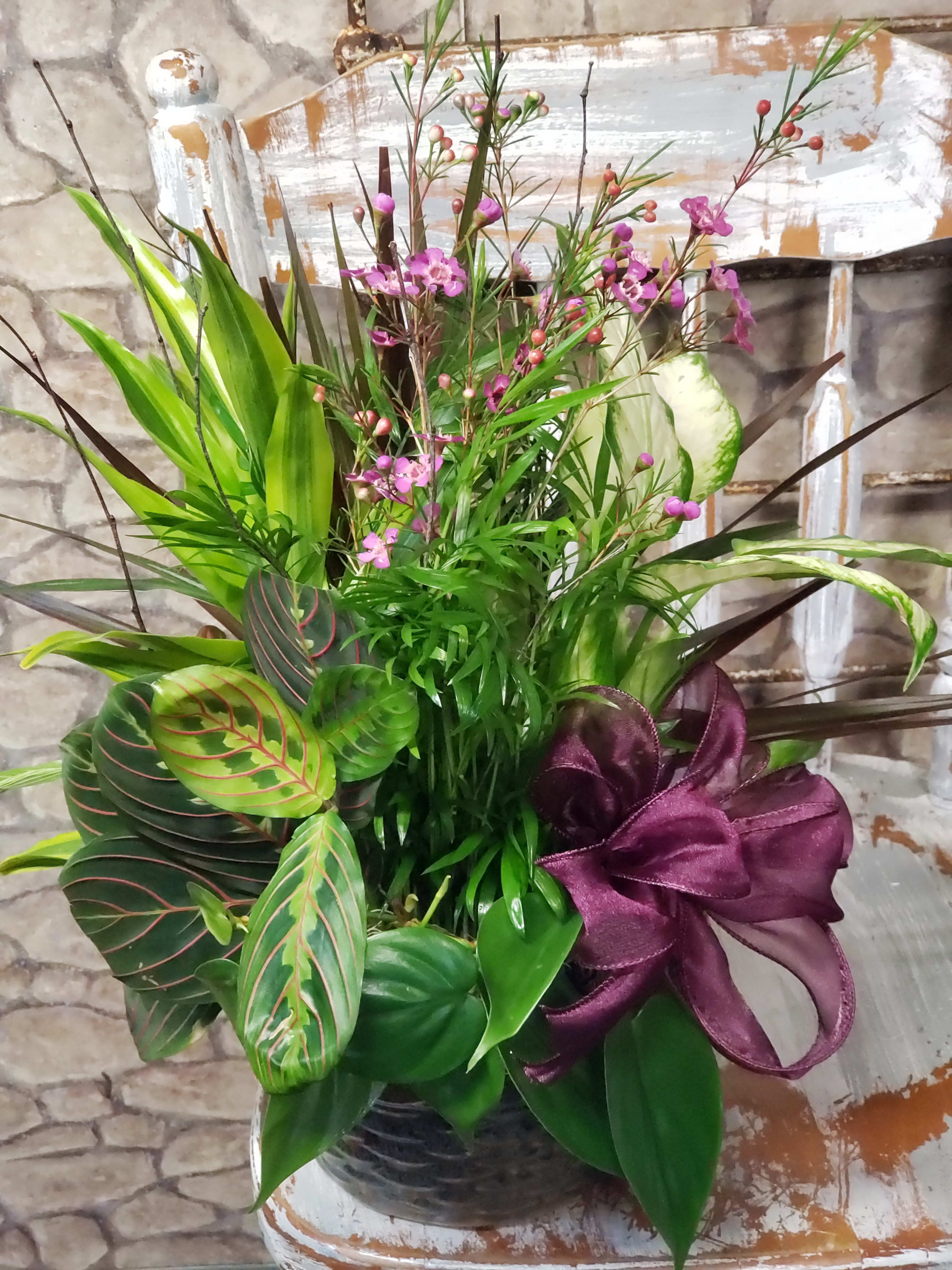 Mixed green arrangement with small pink flowers in a black container and purple ribbon