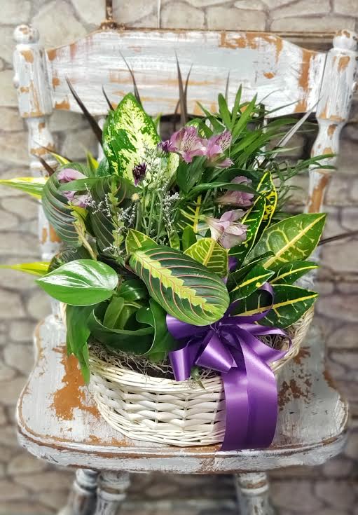 Basket of mixed tropical plants with a purple ribbon