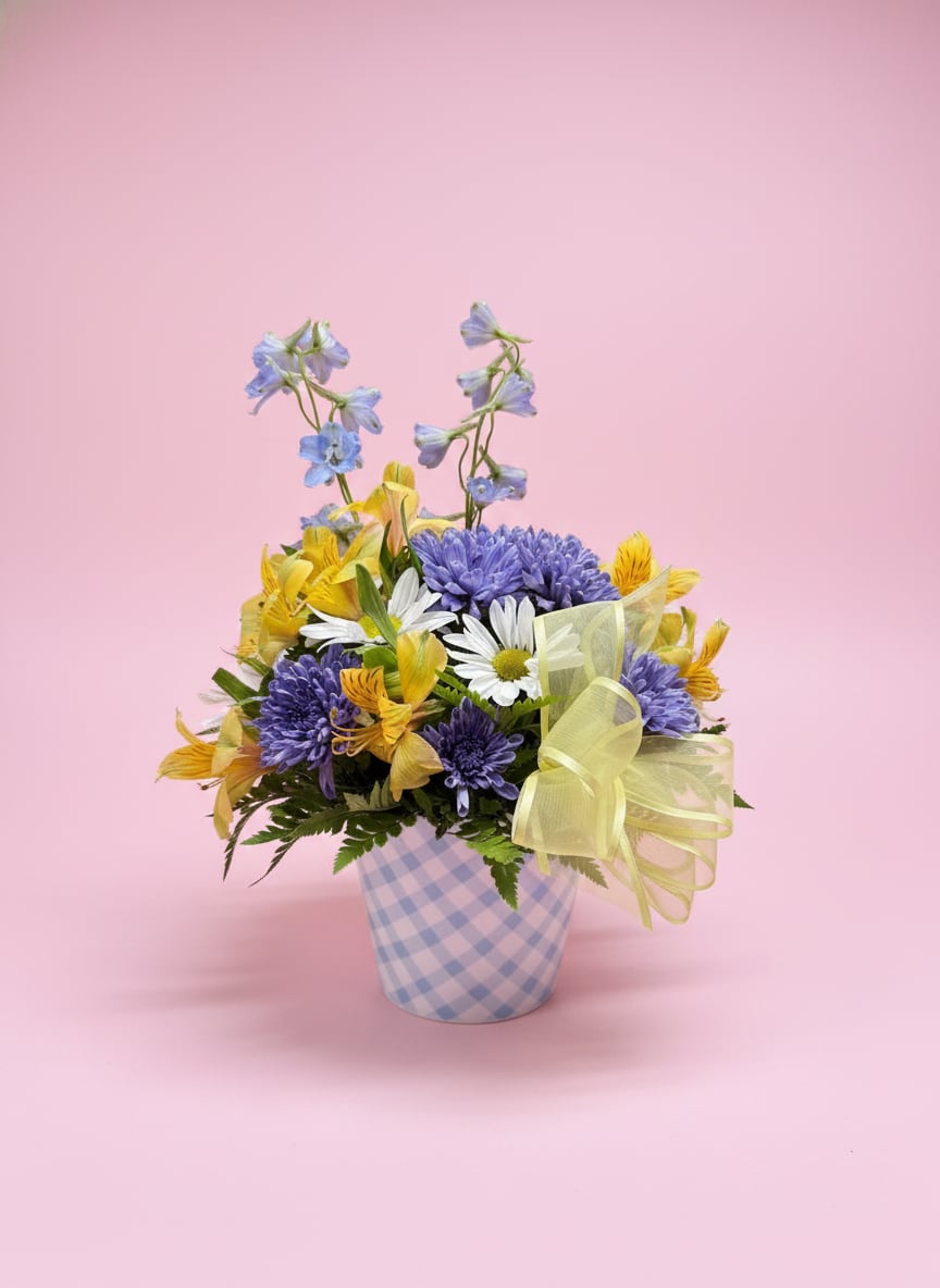 Hello, Baby Boy!  - Hello Baby Boy is a cheerful and fresh floral arrangement designed in a blue plaid keepsake container, perfect for celebrating a sweet new arrival. Soft blue cushion mums pair beautifully with crisp white daisies, airy light blue delphinium, sunny yellow alstroemeria, and a bright yellow ribbon for a joyful pop of contrast.  Playful, soft, and full of happiness, this design is a heartfelt way to welcome a baby boy, celebrate new parents, or brighten a hospital room with love and excitement.   All flowers, floral colors, and containers are subject to change due to availability.