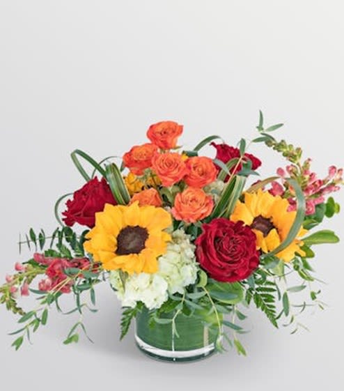 Autumn Blooms - The warm glow of autumn is captured in this stunning arrangement. This bouquet features roses, hydrangea, sunflowers, and Grand Design foliage. Whether celebrating a birthday, an anniversary, or just wanting a beautiful design for the fall tablescape, this bouquet will add just the right touch of warmth to your celebration. This burst of colorful flowers is designed by our florist in a leaf-lined, modern glass vase to create a gift that will truly shine.