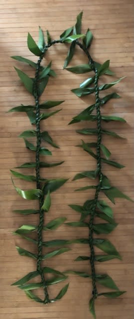 Double Ti Leaf Lei - The Double Ti Leaf Lei has leaves braided into the traditional Ti Leaf Lei. It is a nice lei if you are looking for something in between the traditional Ti Leaf Lei and a Maile Style Ti Leaf Lei. 