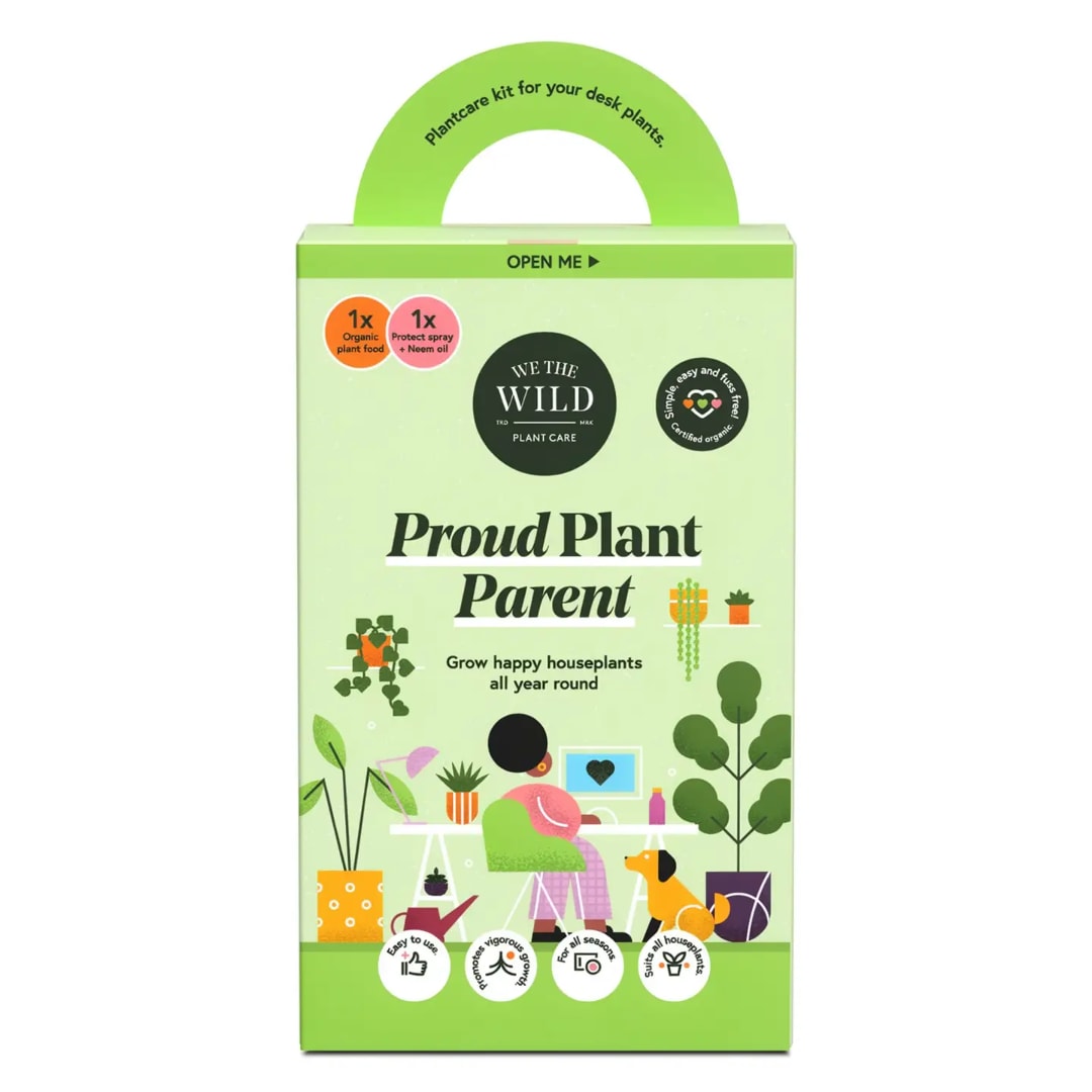 Green plant care kit box with handle and illustrated houseplants