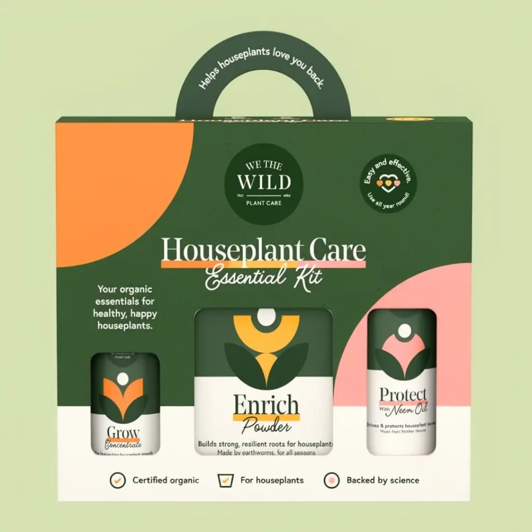 Houseplant care kit in a green and pink box with three bottles