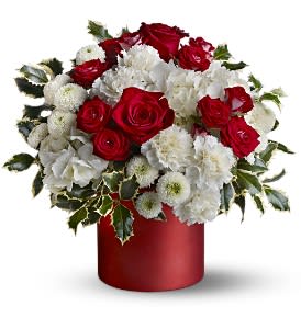Teleflora's Haute Holiday - Need the perfect Christmas gift or birthday present this season? This lovely mix of crimson and white blossoms and spiky holly, delivered in a Teleflora Satin Collection container in a splendid shade of red, will truly fit the bill. It's a festive and fabulous holiday display.  A mix of red and white flowers such as roses, hydrangea, carnations and chrysanthemums - plus holly - are delivered in a red Teleflora Satin Collection cylinder.  Approximately 13" (W) x 13" (H)  Orientation: All-Around