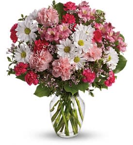Teleflora's Sweet Tenderness - Let the family know they are in your thoughts and prayers with this beautiful gift of pink and white floral favorites. It will help ease their pain of loss.  The beautiful bouquet includes pink alstroemeria, pink carnations, hot pink miniature carnations, white daisy spray chrysanthemums and white waxflower, accented with assorted greenery. Delivered in a clear glass rose vase.  Approximately 15 1/2" W x 18" H  Orientation: One-Sided 