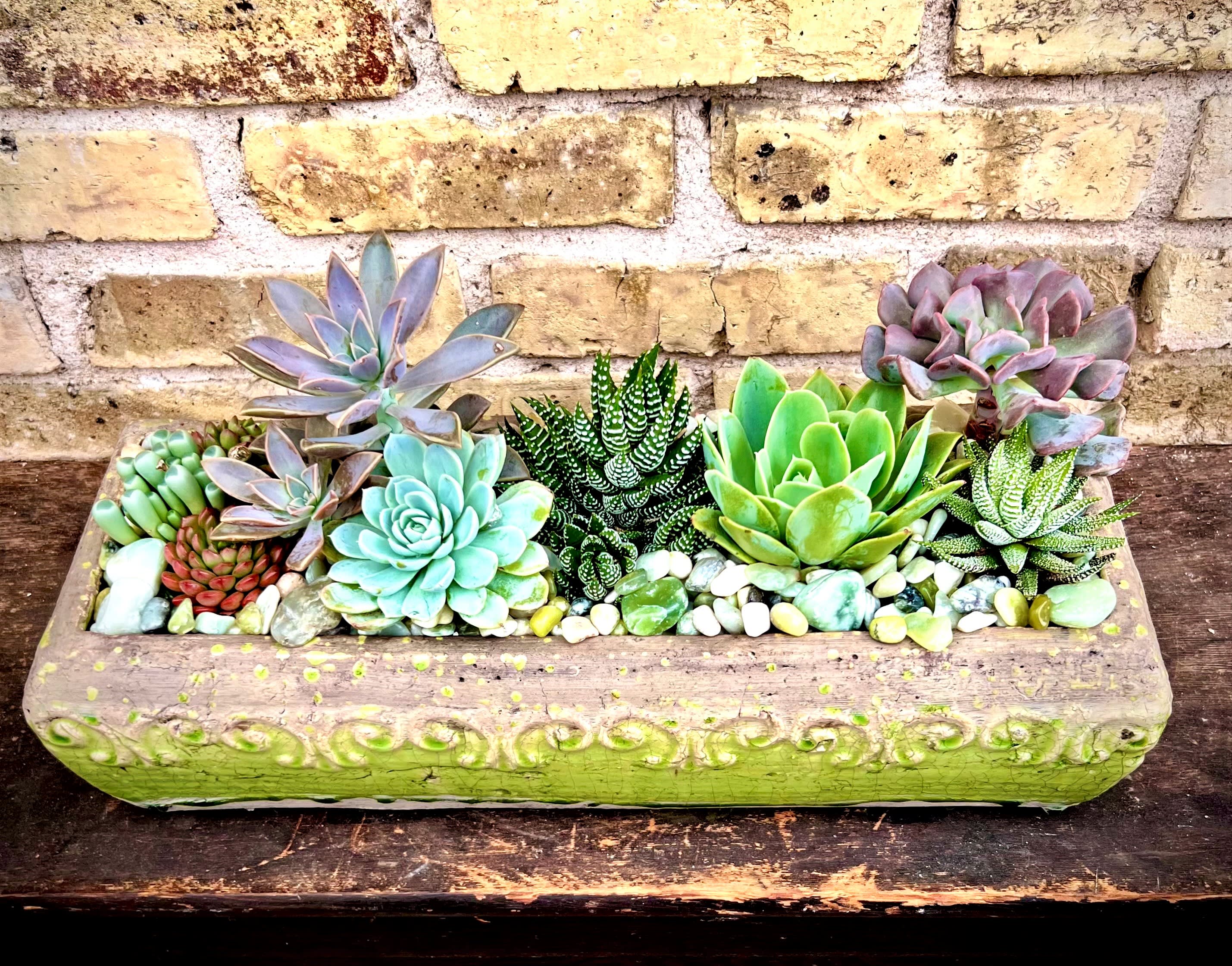 Rectangular planter filled with assorted succulents and pebbles