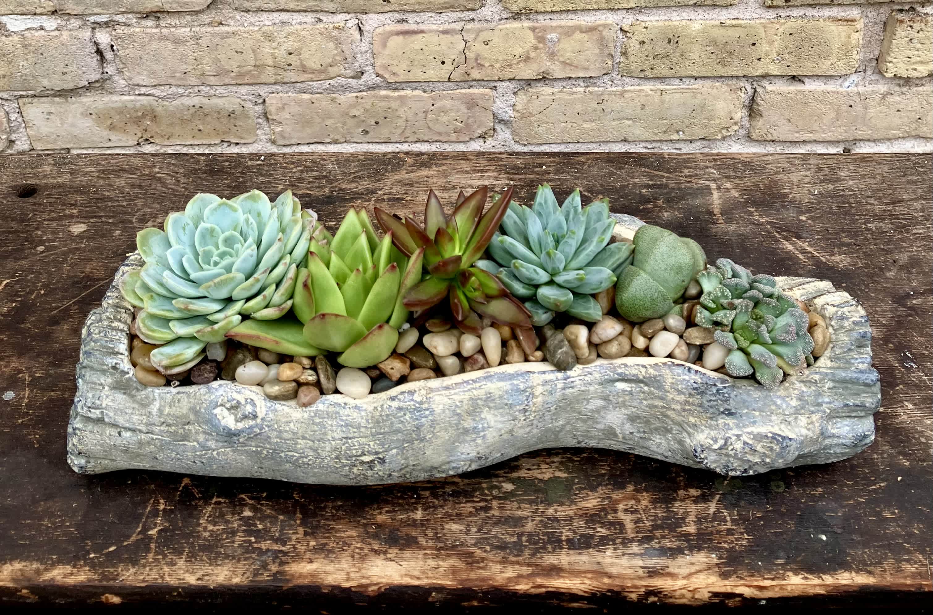 Succulent arrangement in a rustic stone planter with pebbles