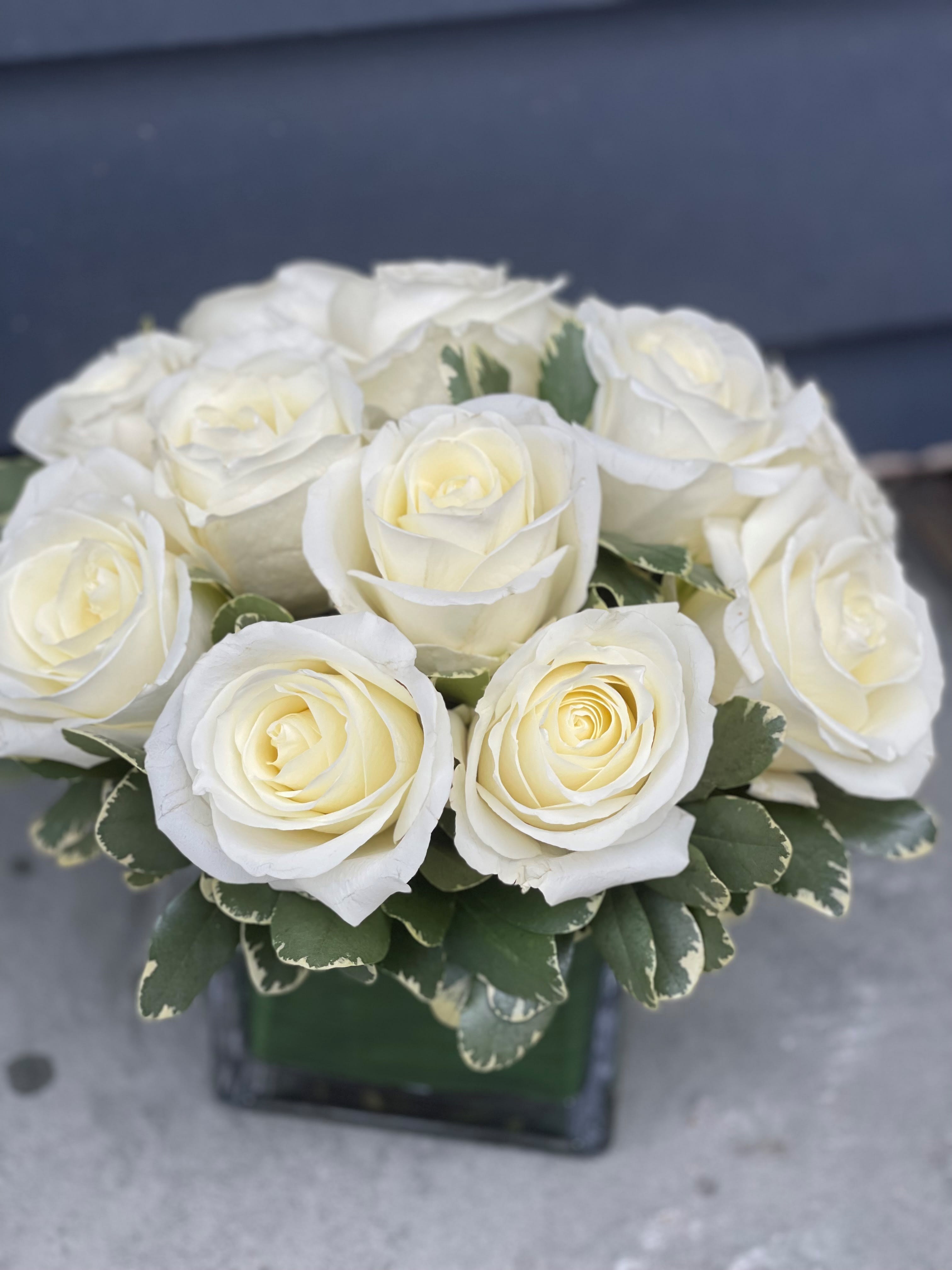 White roses arranged in a square vase with green foliage