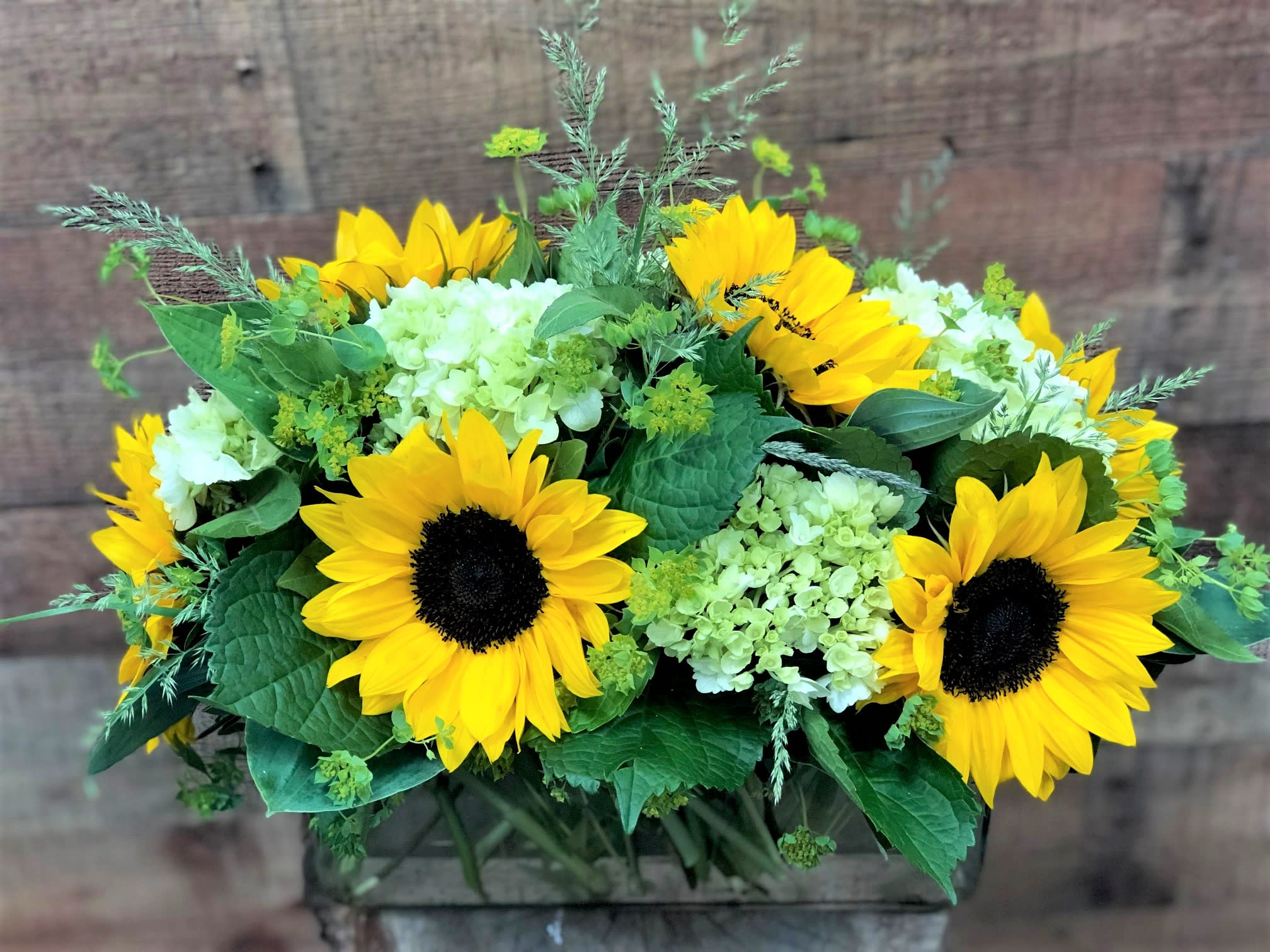 Summer Sunflowers - Sunflowers are a customer favorite!! These are nicely contrasted with mojito green hydrangea and garden foliage's, all nested into a designer rectangular vase. Perfect for any summer occasion. 