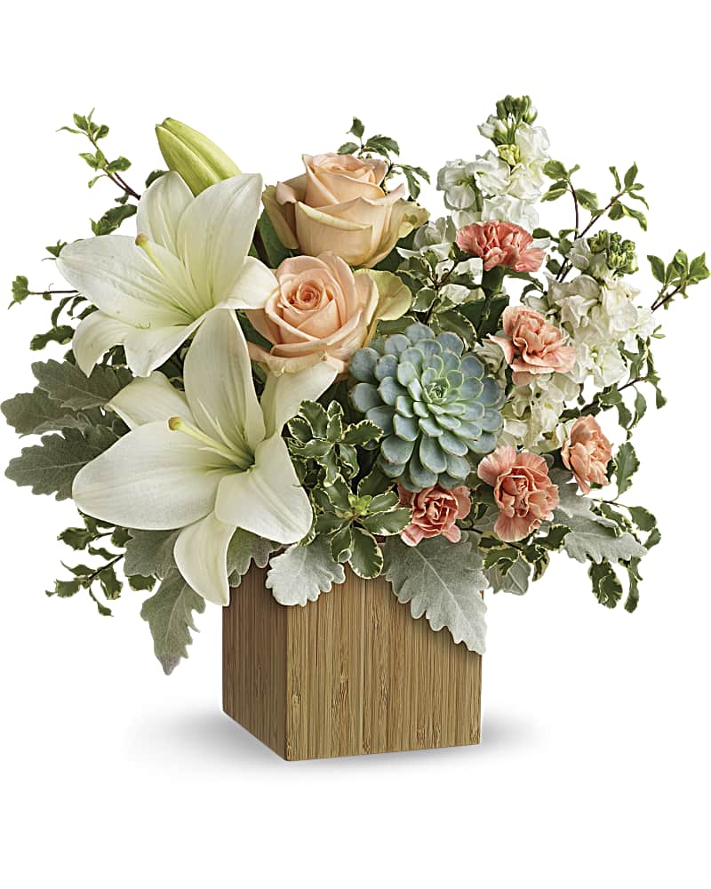 Desert Sunrise - Reminiscent of a desert sunrise, this modern mix of peach blooms, white lilies and succulents is a super chic statement in a natural bamboo cube. Peach roses, white asiatic lilies, peach miniature carnations, and white stock are accented with pitta negra, dusty miller, and a green echeveria succulent. Delivered in Teleflora's Small Natural Bamboo Cube. Orientation: One-Sided Some substitutions may occur depending on product availability.