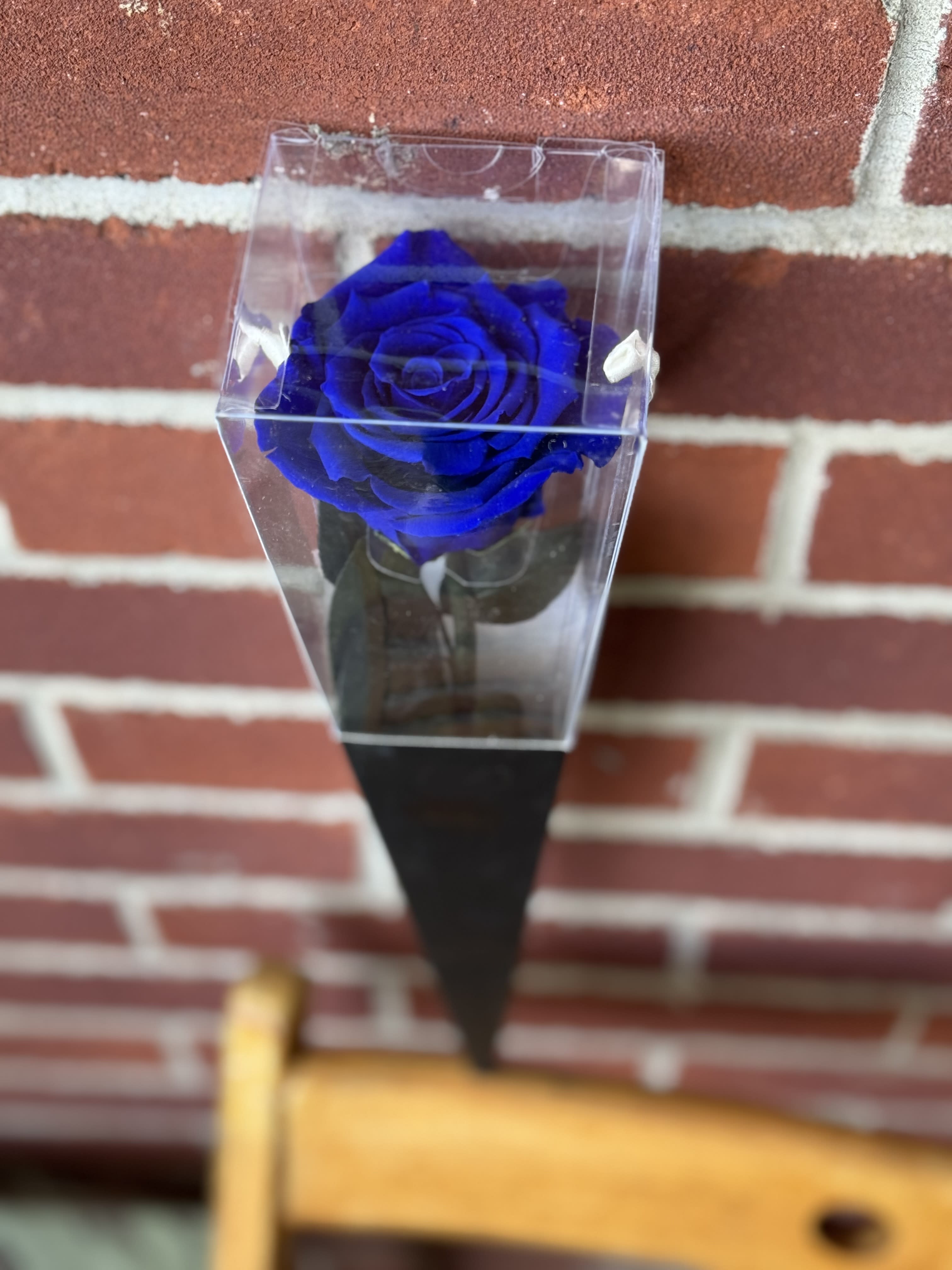 Preserved Blue Velvet Single Rose  - Single Preserved Blue Rose that will last over a year with proper care. 