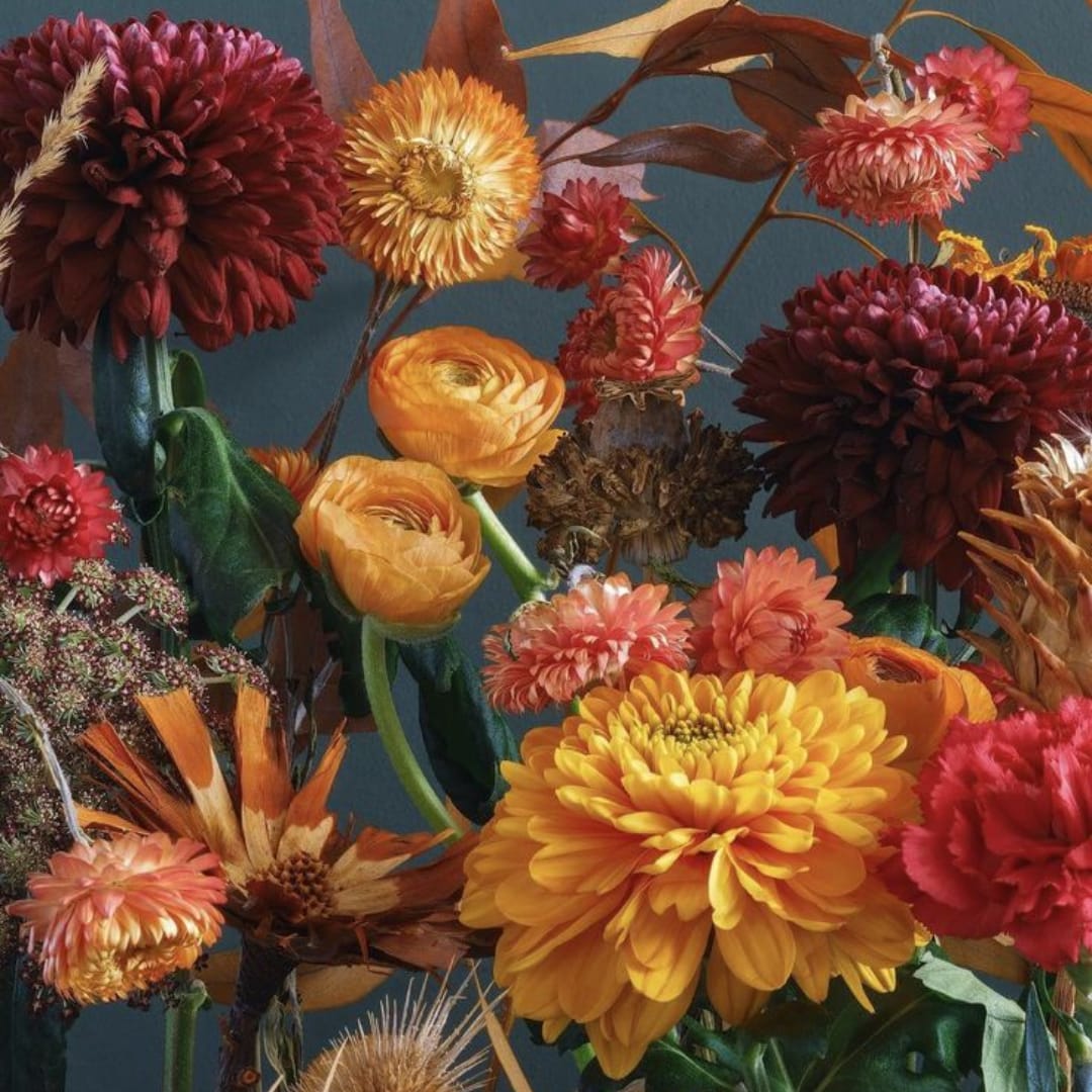Mixed bouquet of chrysanthemums and ranunculus in warm autumn colors