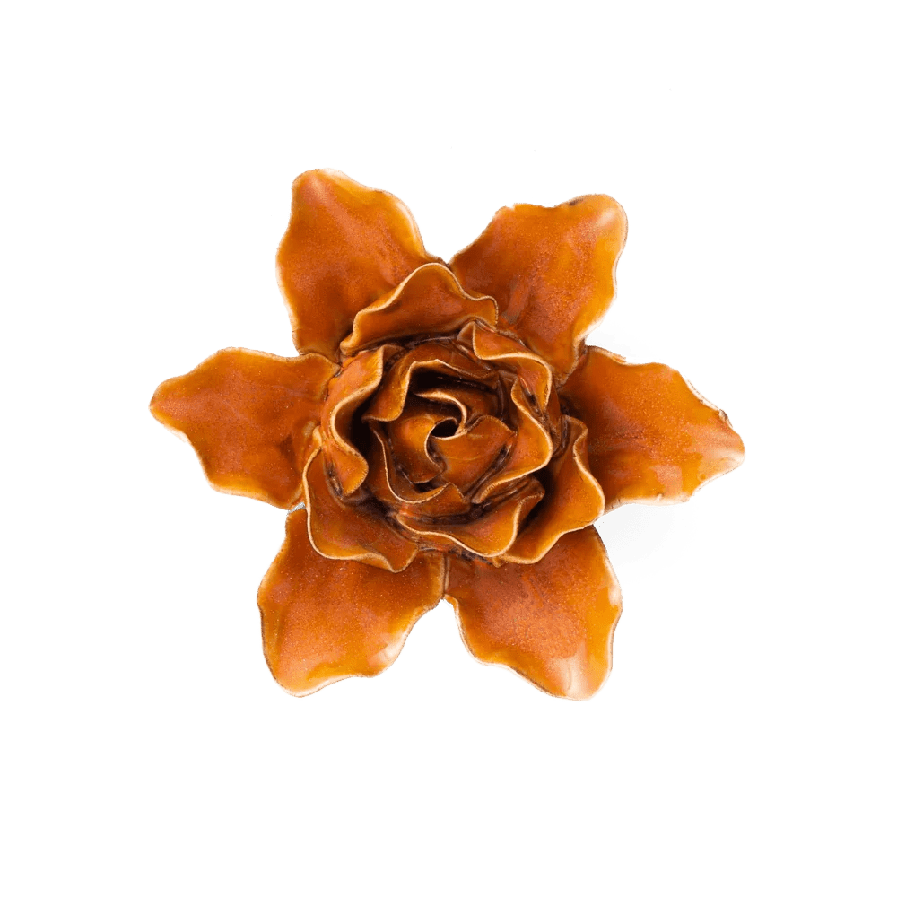 Single orange rose bloom on a plain background