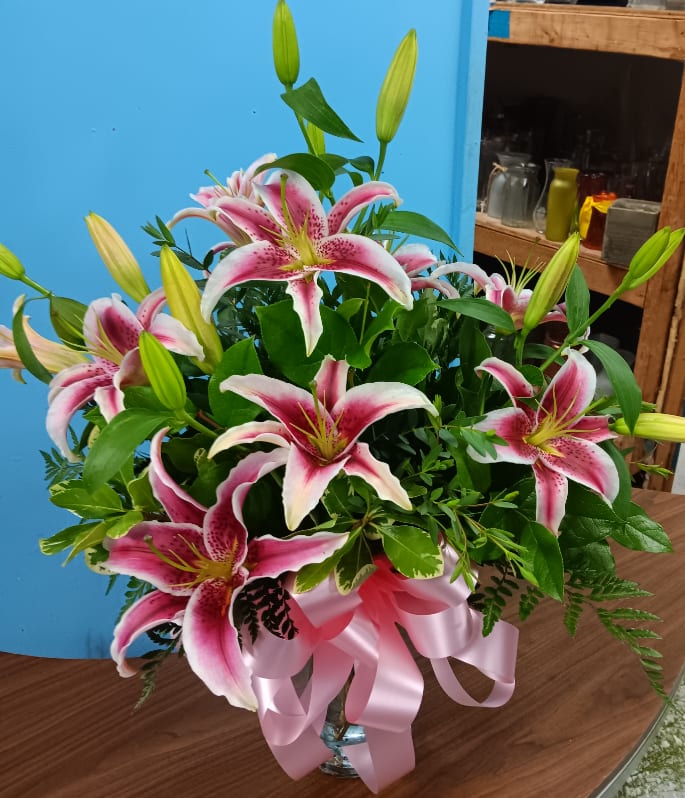 Pink stargazer lilies arranged in a glass vase with a pink ribbon