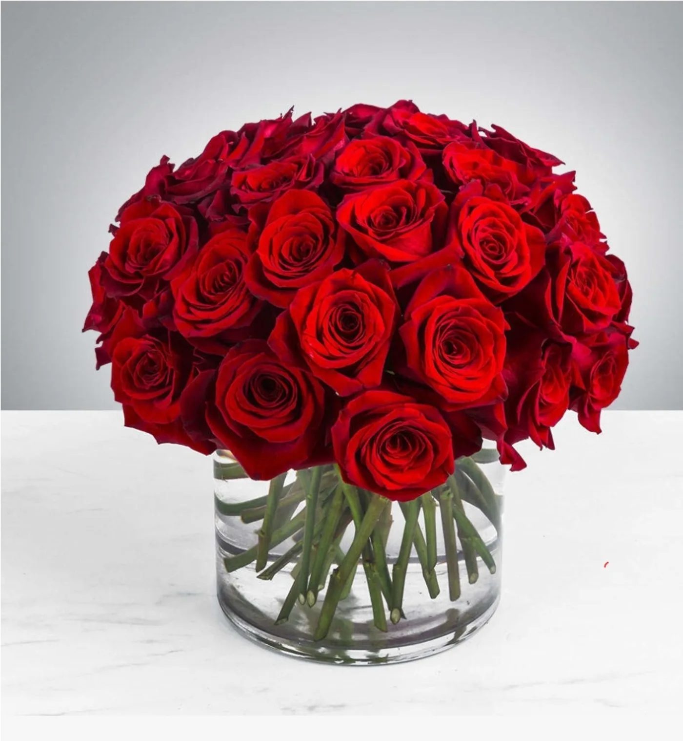 Red roses arranged in a clear glass vase