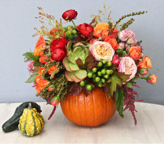 Pumpkin Patch - WeHo - Just in time for the halloween season. This arrangement has all of falls delights including garden roses, Ranunculus, succulents, and many seasonal flowers. It stands approximately 14'' tall and wide.