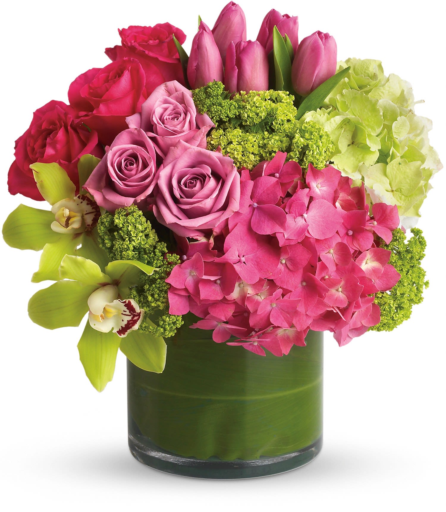 New Sensation - Upscale and uptown. This fantastic arrangement is a beauty and a half to behold. Overflowing with gorgeous blossoms and delivered in a leaf-lined cylinder vase, it's truly a floral fantasy. 
