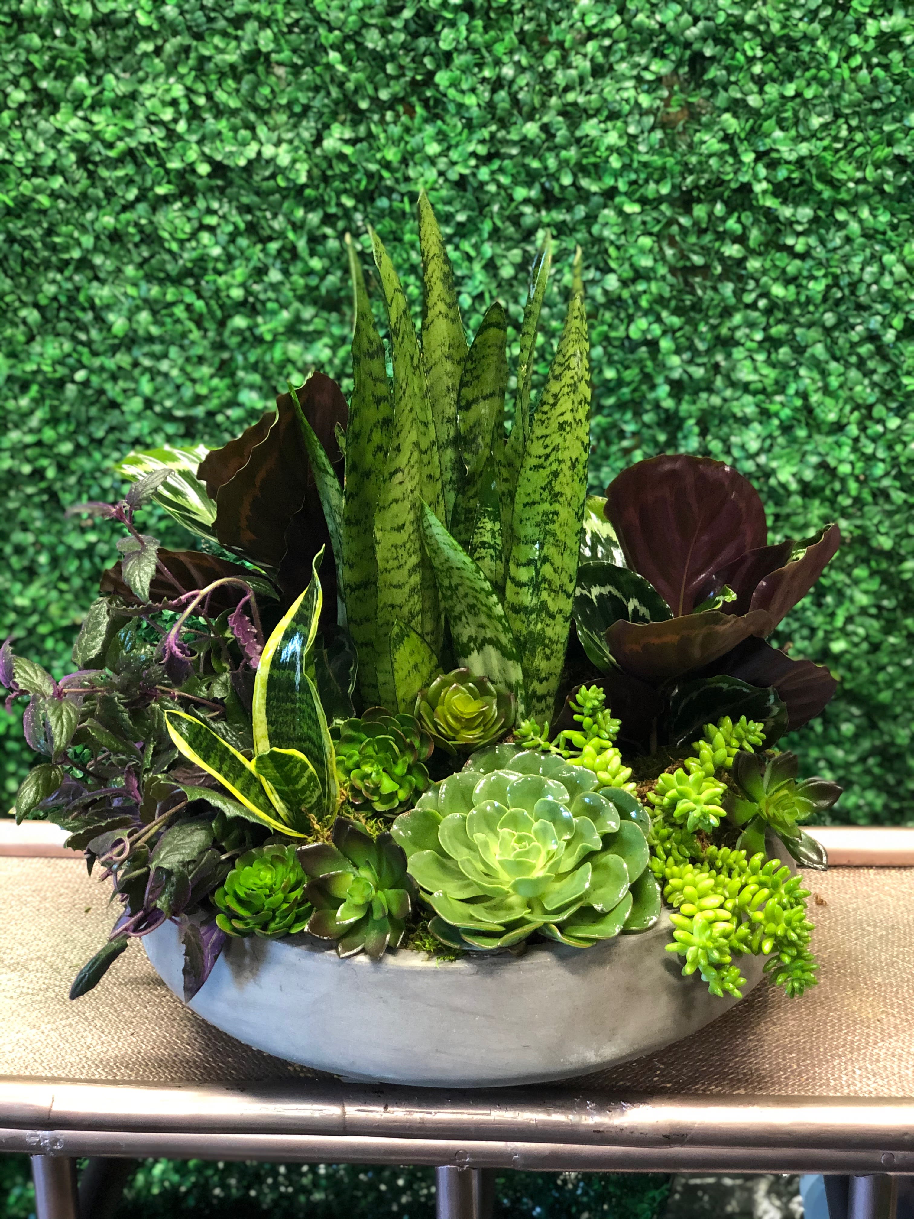 MODERN GARDEN - THIS DESIGN WILL MAKE ANY ROOM BRIGHT AND LIVELY. A MIX OF INDOOR PLANTS AND SUCCULENTS ALL ARRANGED IN A MODERN GRAY CERAMIC POT. SOME OF THE SUCCULENTS ARE SILK AND WILL LAST FOREVER. PLANTS INCLUDED ARE BASED ON AVAILIBILITY AND CAN BE REPLACED WITH SAME VALUE PLANTS TO MATCH THE DESIGN.  