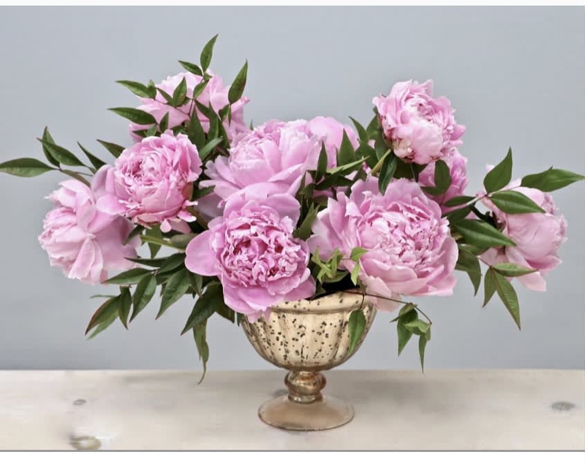 Low arrangement of pink peonies in a gold pedestal bowl