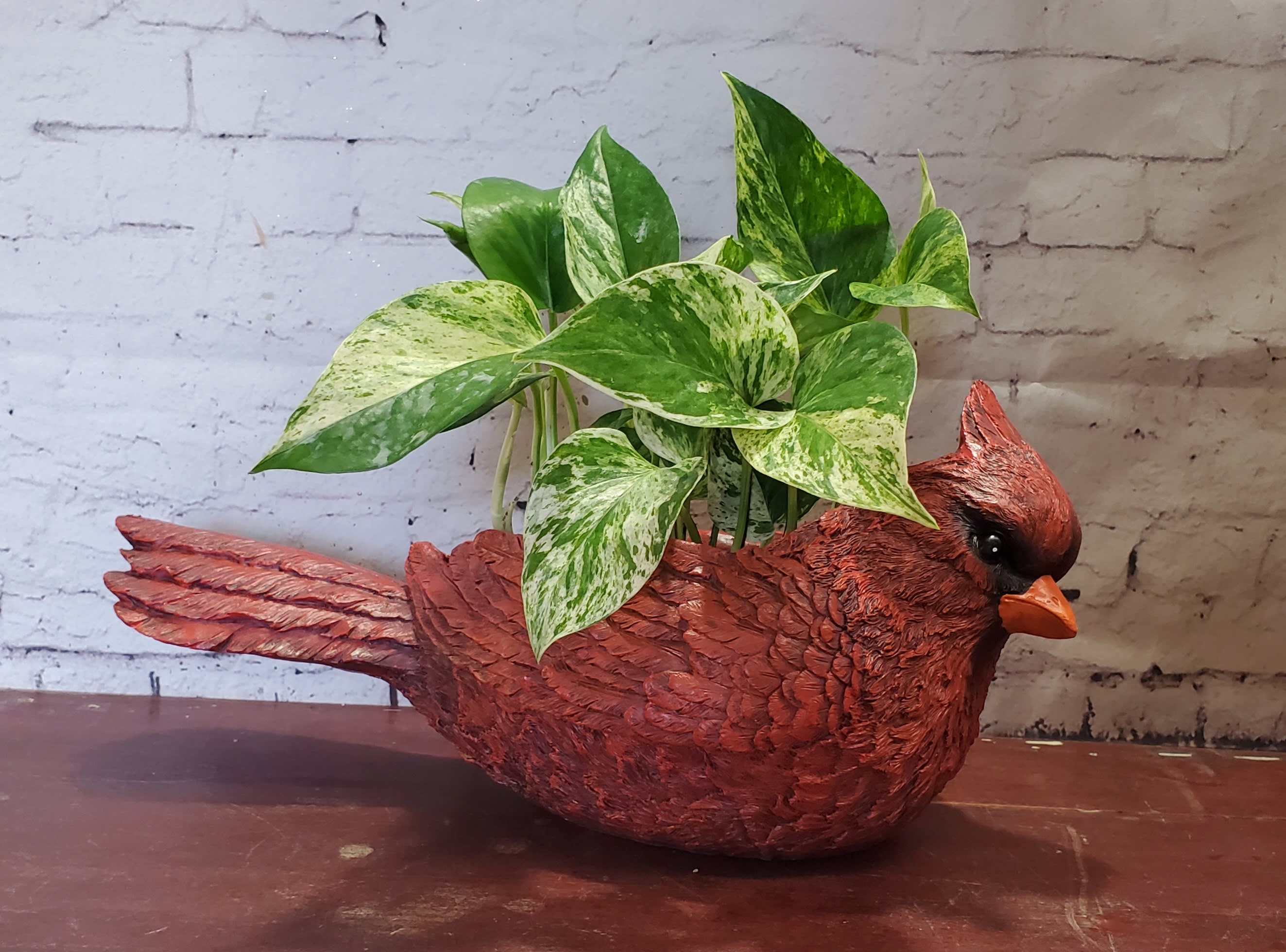 Cardinal Planter - Cardinal Planter with plant... plants will vary.  13 1/2" long