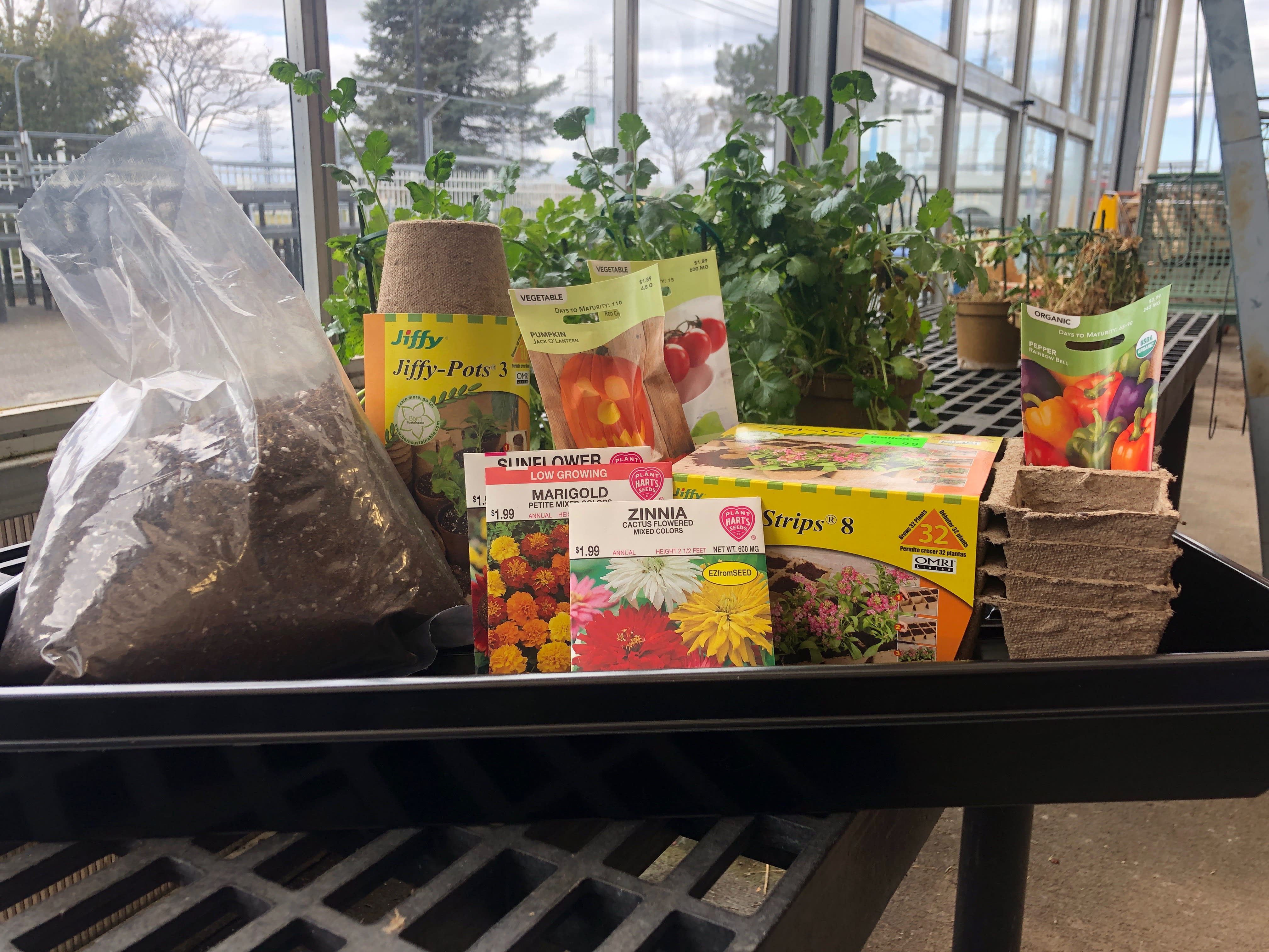 Seed packets and starter pots with potted plants on a greenhouse bench