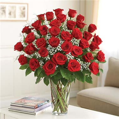  3 DOZEN RED ROSES ULTIMATE  PREMIUM LONG STEM ROSES IN CLEAR VASE - Just what your special someone deserves -- a stunning bouquet of three dozen premium long-stem red roses, which delivers smiles in spectacular style. It's the ultimate expression of your feelings, and is sure to always be remembered.  Arrangement measures approximately 23"H x 18"L. Vase measures 10"H. Our florists hand-design each arrangement, so colors, varieties, and container may vary due to local availability.