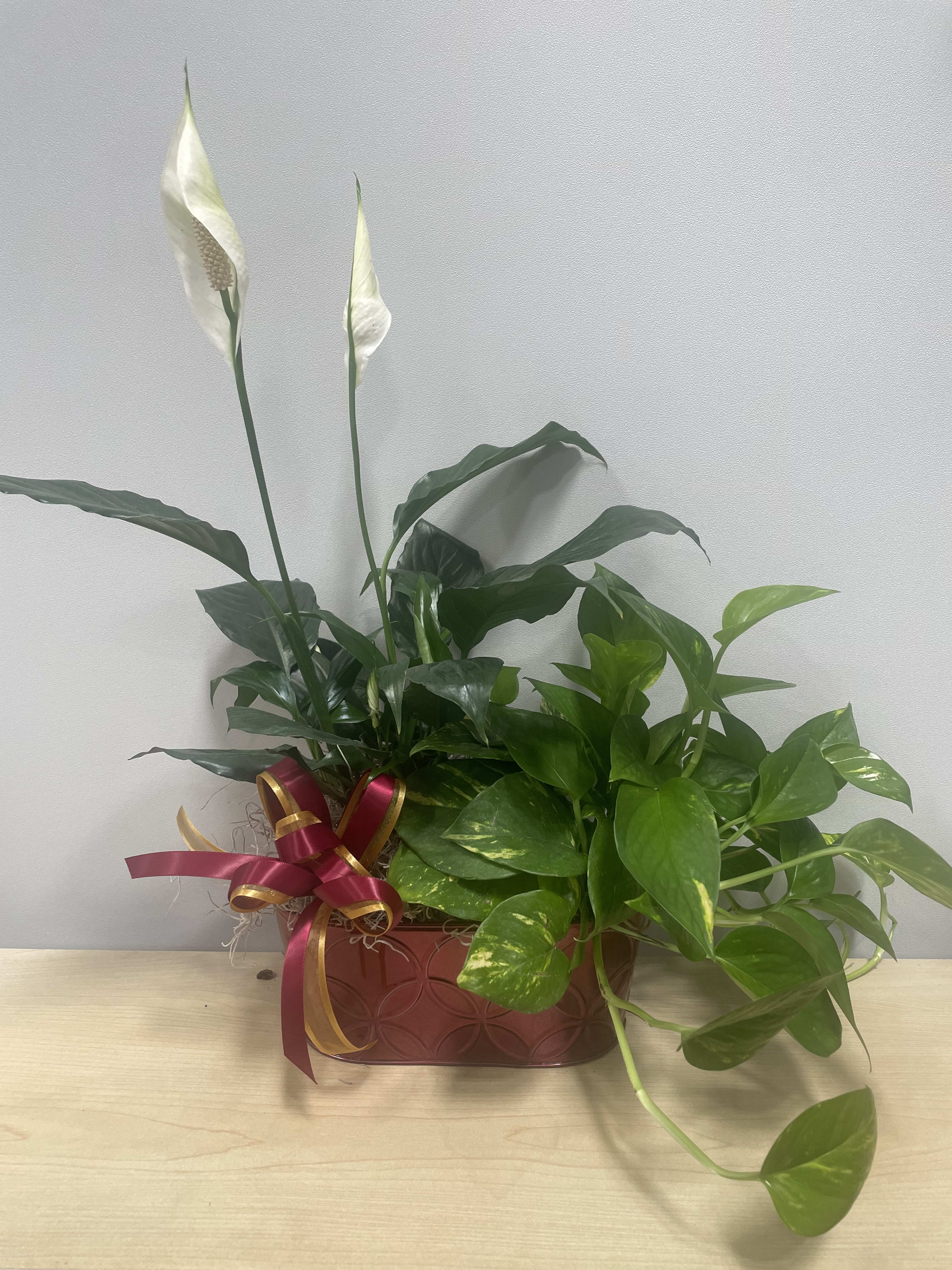 Pretty Planter - As shown 