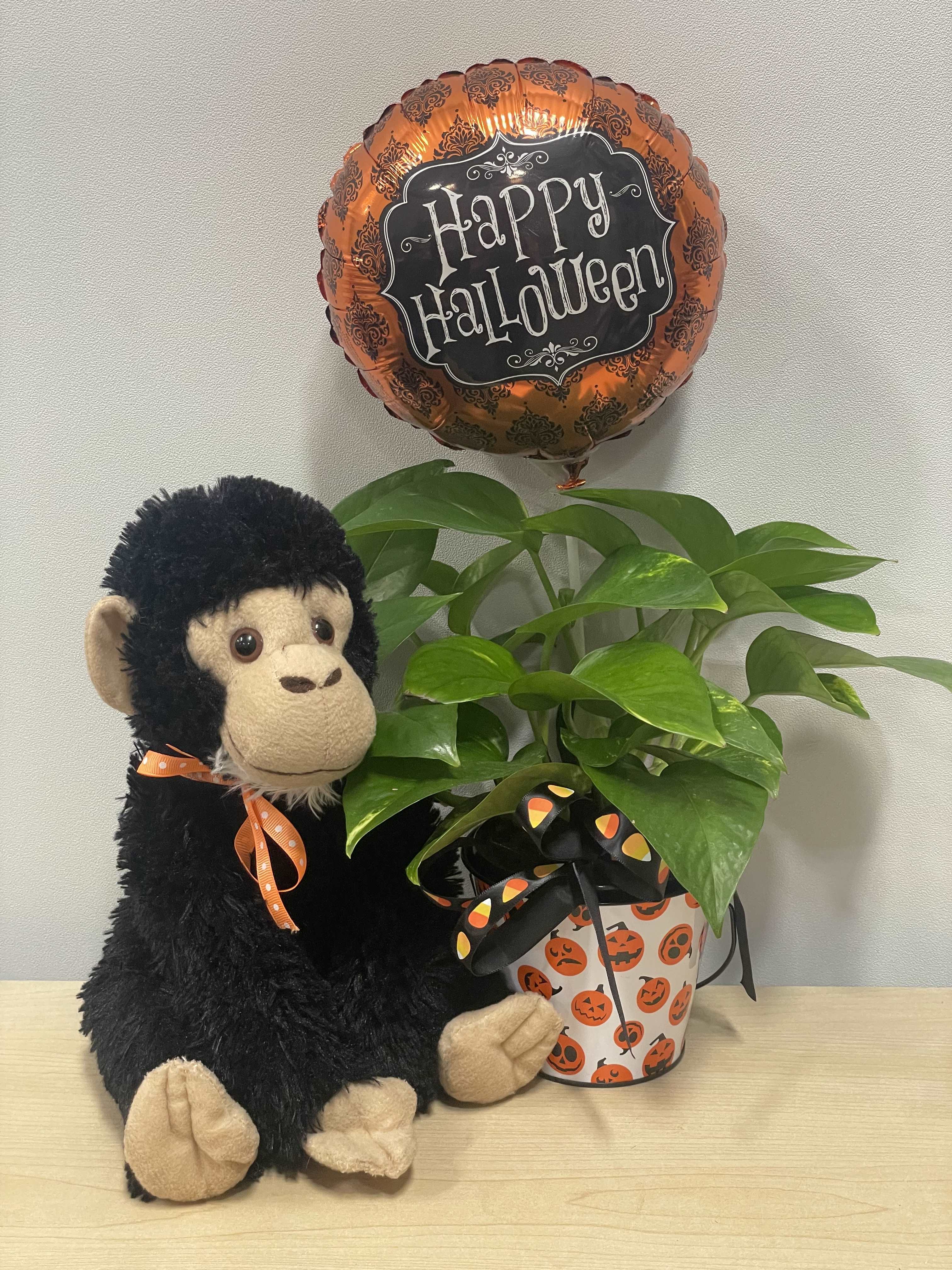 Halloween Plant &amp; Monkey Trio - As shown