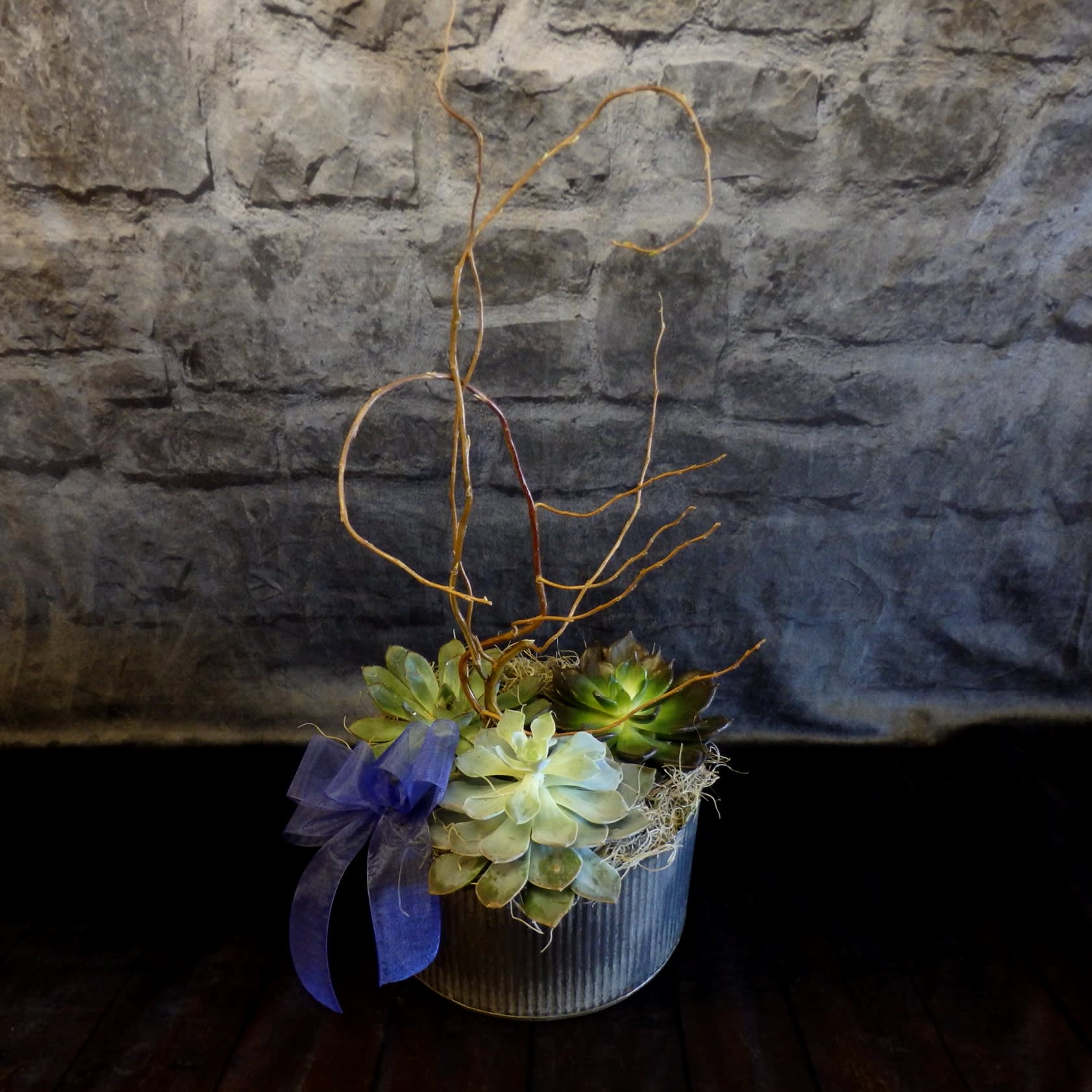Succulent arrangement in a ribbed metal pot with curly branches and a purple ribbon