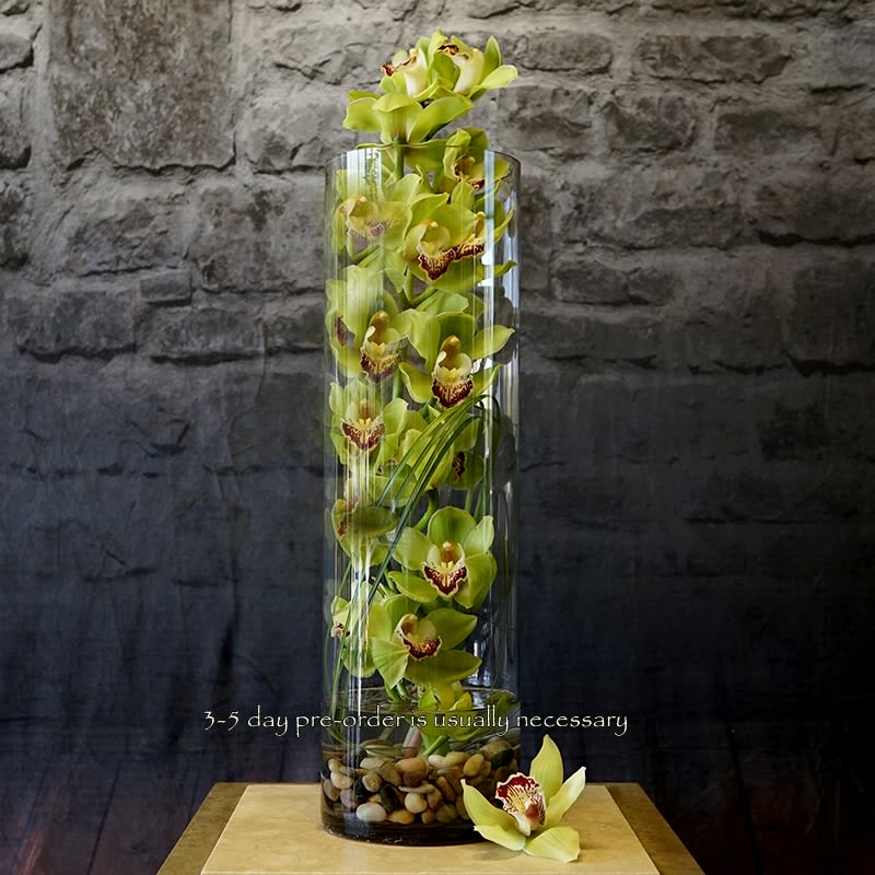 Tall glass vase filled with green orchids and pebbles