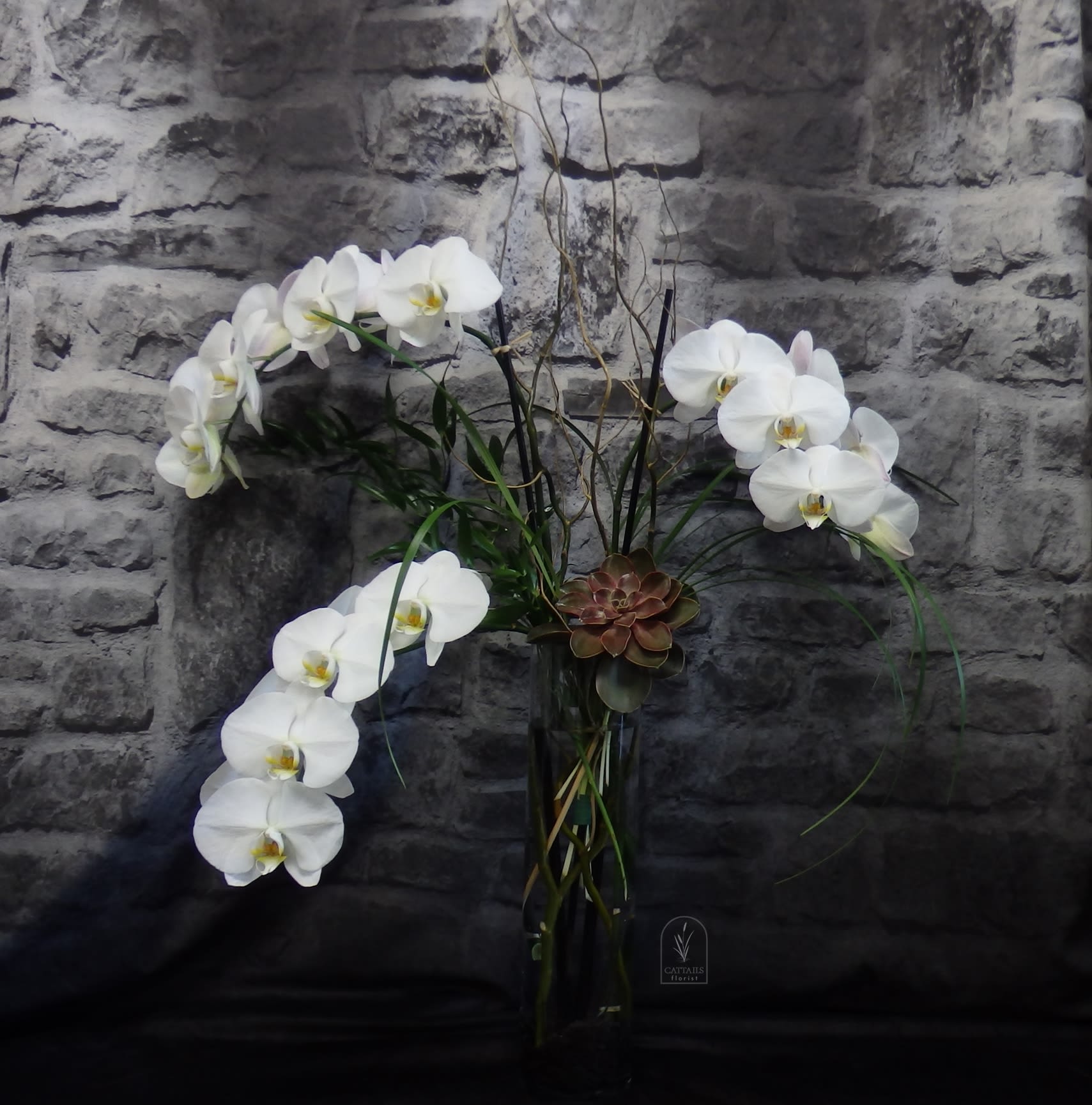 White orchids arranged in a tall glass vase with curly branches