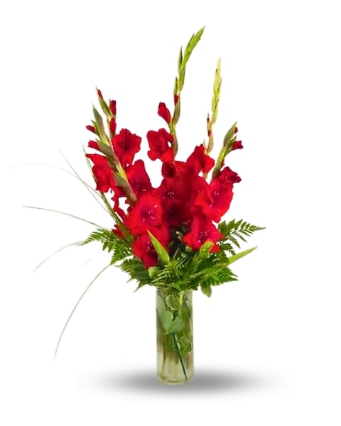 Be Glad - Color Red - Save on 6 Glads arranged in a vase with greens. Color Red