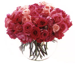 Bouquet of pink and red roses in a clear glass vase