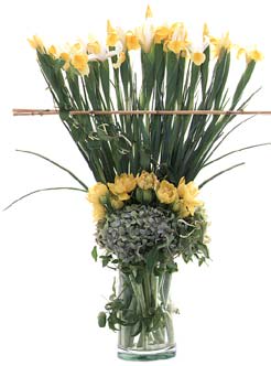 Tall arrangement of yellow daffodils in a clear glass vase