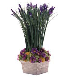 Purple flowers in a square woven basket with tall grass-like stems
