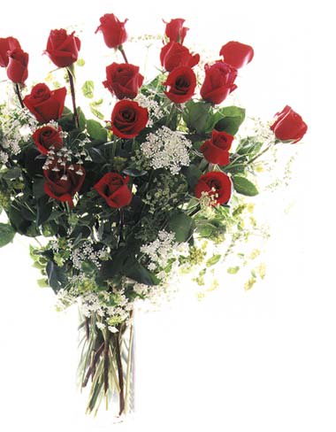 Bouquet of red roses with white filler flowers