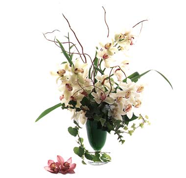 White orchid arrangement in a green vase with trailing vines