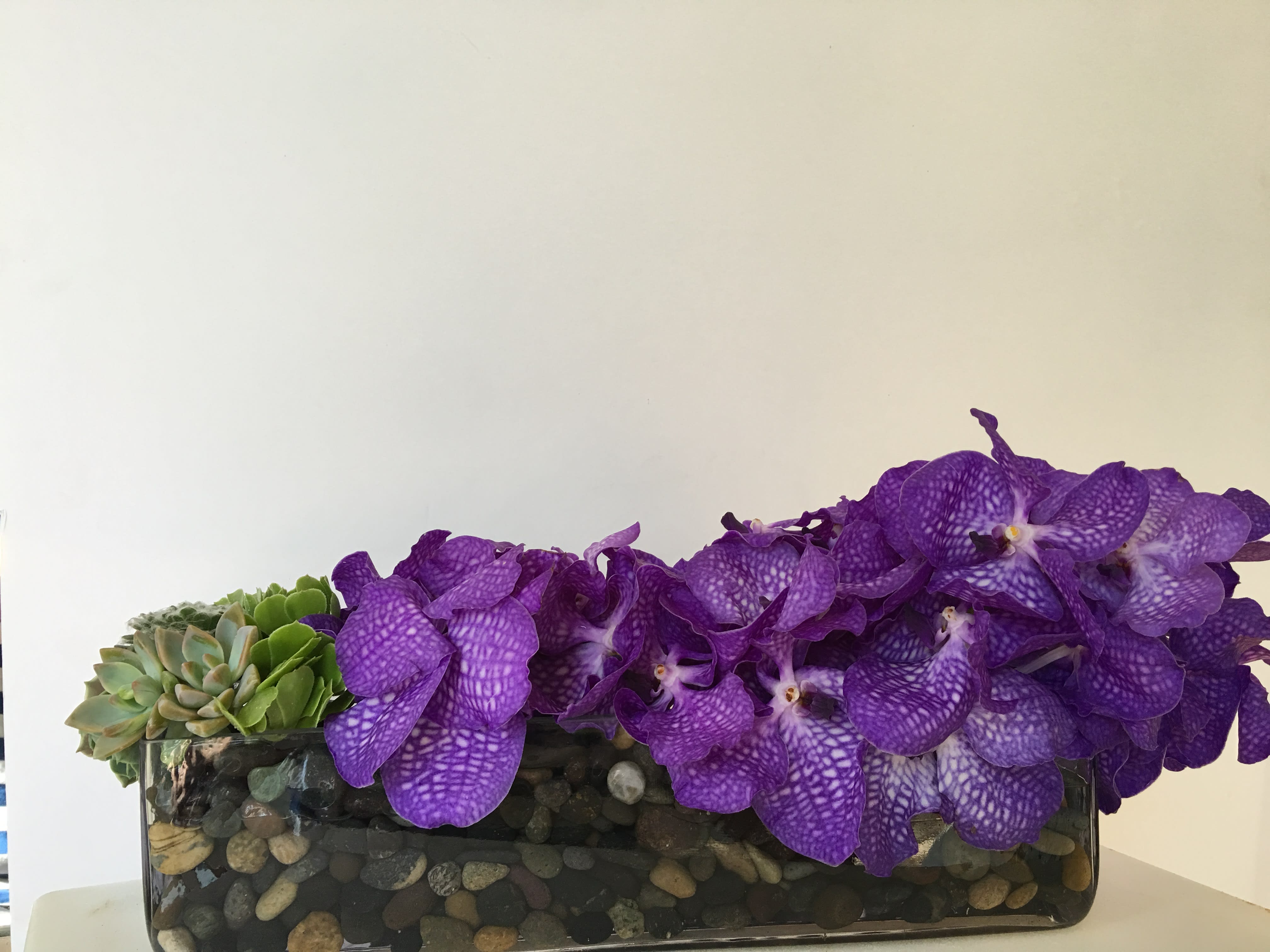 Purple orchids and succulents in a rectangular glass planter