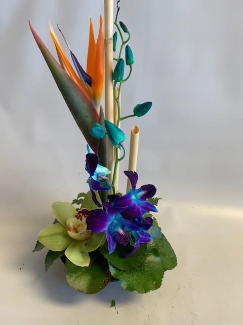 Tropical arrangement with bird of paradise and orchids in a vase