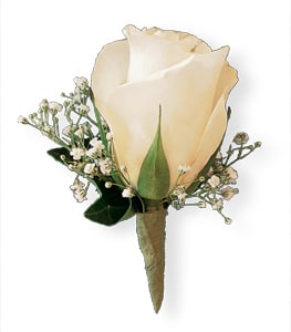 Cream rose boutonniere with small white filler flowers