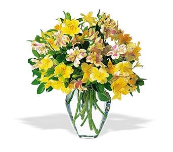 Yellow and pink alstroemeria bouquet in a clear glass vase