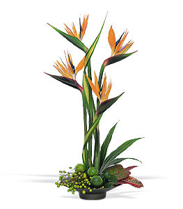 Tall tropical arrangement with orange bird-of-paradise flowers in a low black container