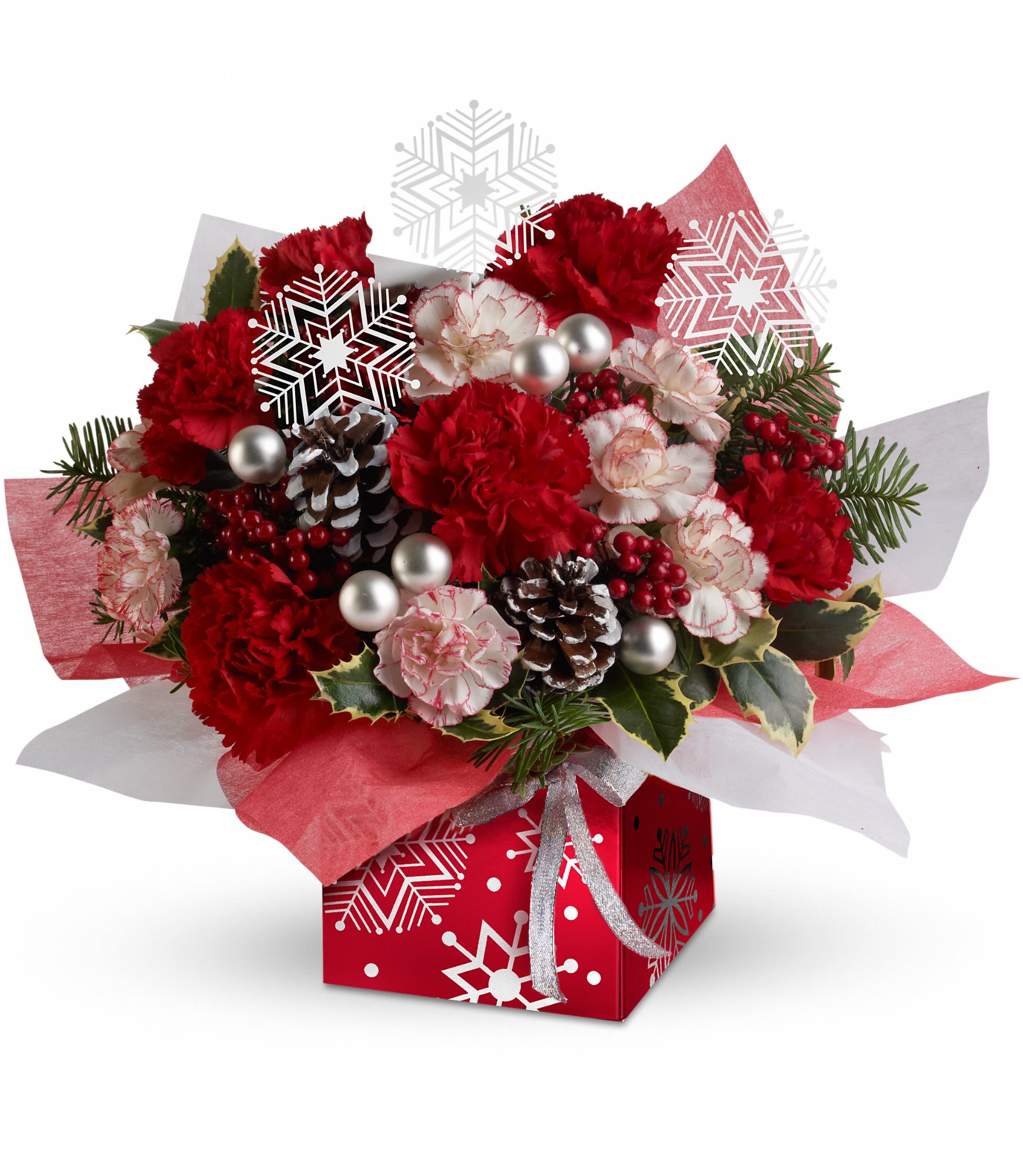 Teleflora's Snow Flurries Present Perfect - The colorful holiday gift bouquet includes red carnations, peppermint miniature carnations, noble fir, variegated holly and pinecones accented with white ribbon. Approximately 14" W x 12 1/4" H.  T11X610A