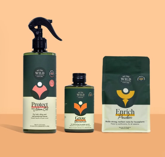 Three plant care products in dark green packaging on a peach background
