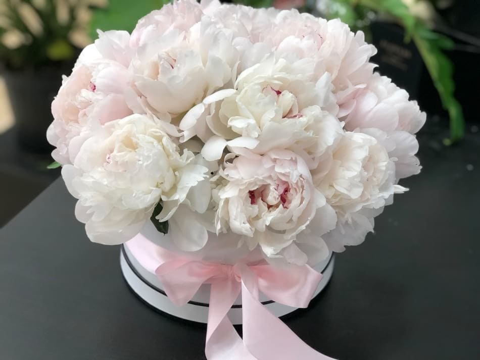 Round bouquet of pale pink and white peonies in a white box with a pink ribbon