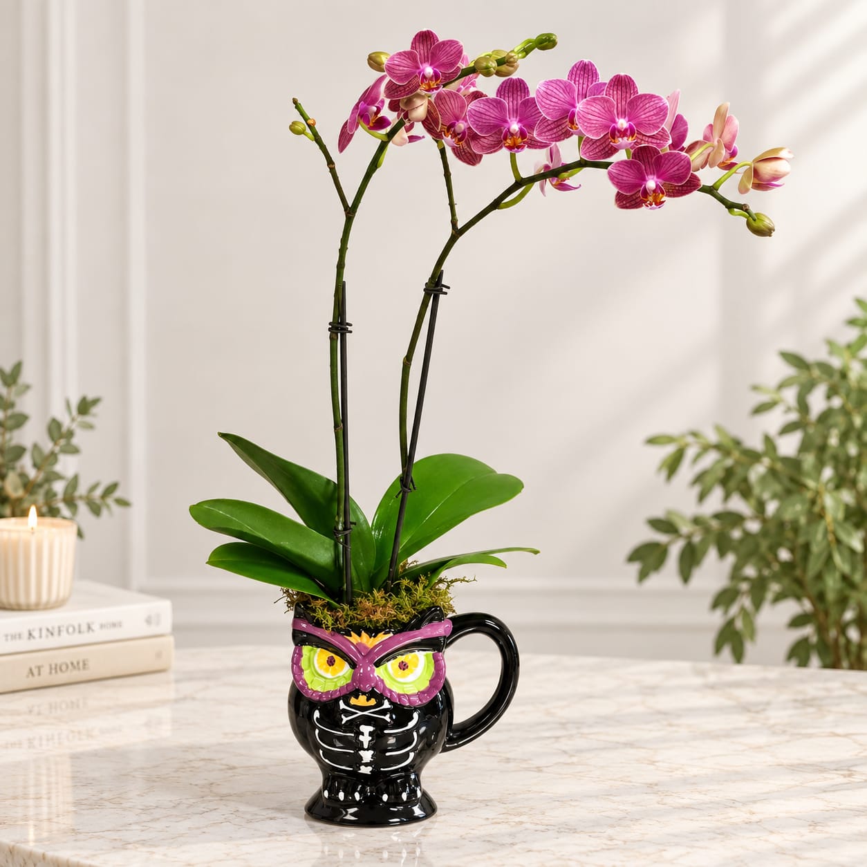 Pink orchids in a black owl-shaped mug on a tabletop